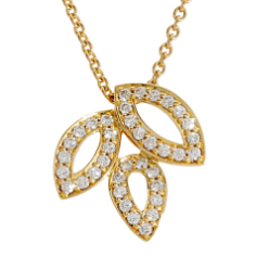 Photos of the selected products