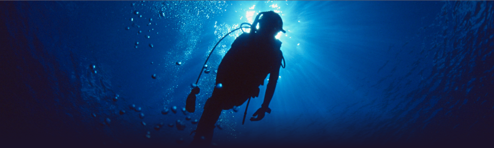 MECHANAISM/mechanism