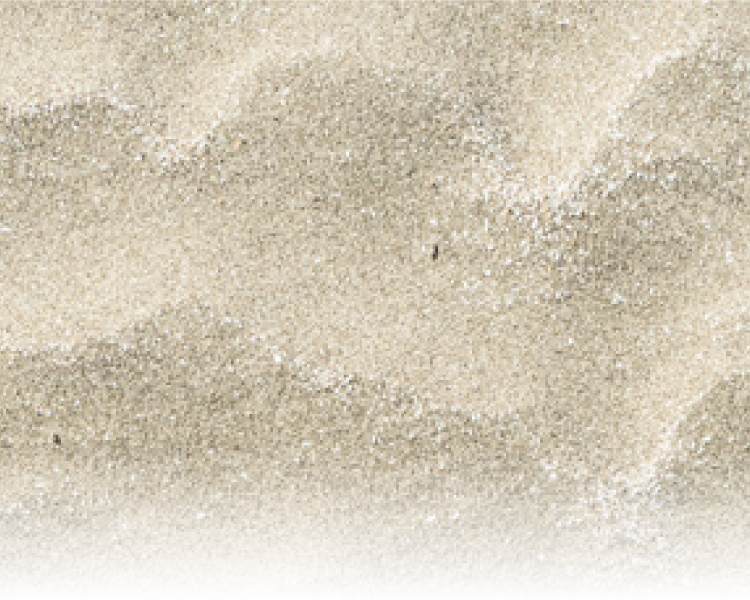 ITEM LIST/Product list