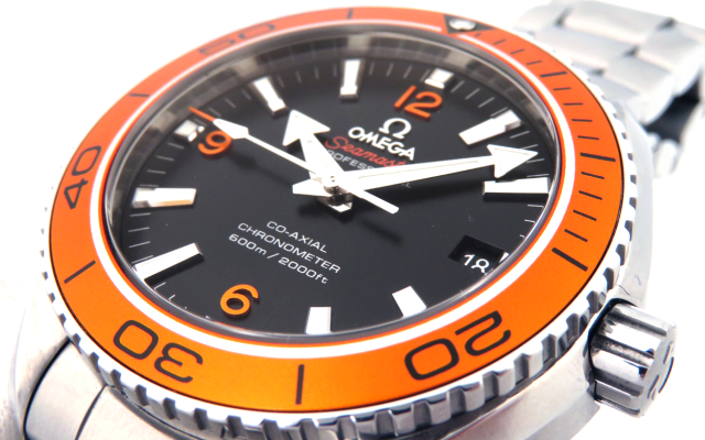 Reverse rotation prevention bezel