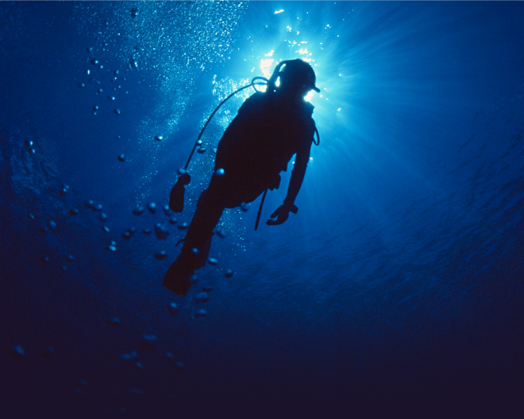 MECHANAISM/mechanism