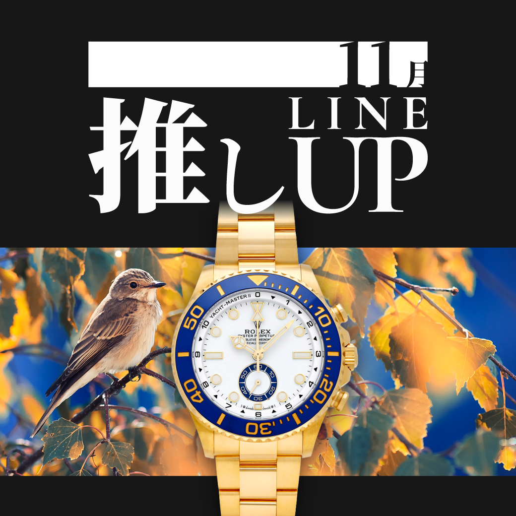 十一月的阵容