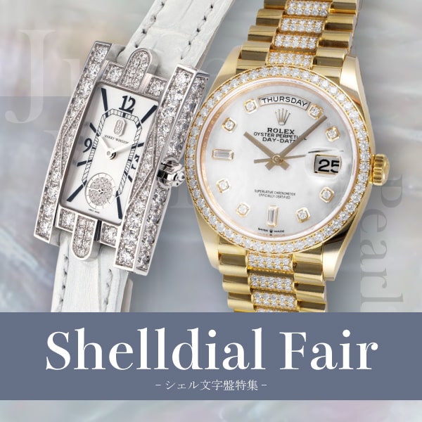 贝壳表盘专用横幅SP