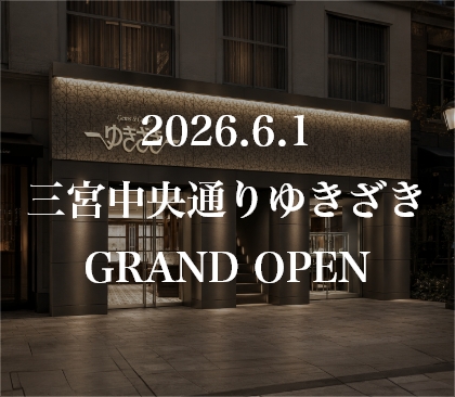 Sannomiya Chuo-dori Yukizaki
